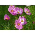 Cakatablo Pembe Beyaz Çiçekler 1000 Parça Puzzle Yapboz MDF Ahşap