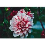 Cakatablo Pembe Beyaz Yıldız Çiçeği 1000 Parça Puzzle Yapboz MDF Ahşap