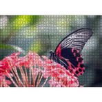 Cakatablo Pembe Çiçekler ve Siyah Kırmızı Kelebek 1000 Parça Puzzle Yapboz MDF Ahşap, P17406-1000