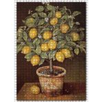 Cakatablo Saksıda Limon Ağacı Resm Görseli 1000 Parça Puzzle Yapboz MDF Ahşap