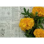 Cakatablo Sarı Çiçekler ve Bitkisel Şifa Kitabı Yaprakları 1000 Parça Puzzle Yapboz MDF Ahşap