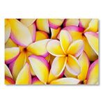 Cakatablo Sarı Plumeria Çiçekleri Mdf Ahşap Tablo