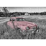 Cakatablo Siyah Beyaz Çayırlardaki Eski Kırmızı Araba 1000 Parça Puzzle Yapboz MDF Ahşap