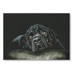 Cakatablo Siyah Rottweiler Siyah Arka Plan Mdf Ahşap Tablo