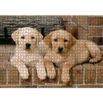 Cakatablo Şöminenin Önünde İki Labrador Yavrusu 1000 Parça Puzzle Yapboz MDF Ahşap