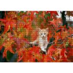 Cakatablo Sonbaharda Çınar Yaprakları Arasındaki Yavru Kedi 1000 Parça Puzzle