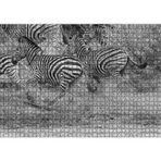 Cakatablo Su Kenarında Kaçan Zebralar Siyah Beyaz 1000 Parça Puzzle Yapboz MDF Ahşap, P17426-1000