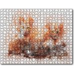 Cakatablo Suluboya Efekt Yavru Kediler 120 Parça Puzzle