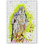 Cakatablo Suluboya Şahin 500 Parça Puzzle Yapboz MDF Ahşap