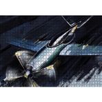 Cakatablo Tek Motorlu Uçak İllüstrasyon 1000 Parça Puzzle Yapboz MDF Ahşap