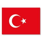 Cakatablo Türk Bayrağı Mdf Ahşap Tablo