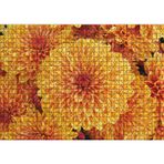 Cakatablo Turuncu Yıldız Çiçekleri 1000 Parça Puzzle Yapboz MDF Ahşap
