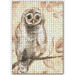 Cakatablo Yağlı Boya Dişi Baykuş Resmi Görseli 1000 Parça Puzzle Yapboz MDF Ahşap
