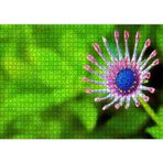 Cakatablo Yakın Çekim Çiçek Yeşil Flu Arkaplan 1000 Parça Puzzle Yapboz MDF Ahşap