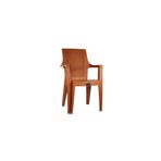 Cakha Gold Rattan Efektli Plastik Sandalye Bahçe Balkon Sandalyesi Koltuk Teak