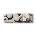 Çakıl Taşları ve Kelebek Tablosu 186 x 60-3 Parçalı