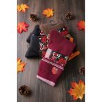 Caks Socks Yün Çorap 4'lü Paket Asorti - 36 - 40