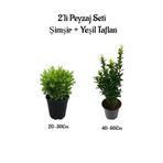 Çalı Şimşiri Fidanı+Yeşil Taflan Çit Bitki Seti 2'li Bahçe Peyzaj Bitki Seti, BTS0001NA1550