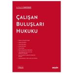 Çalışan Buluşları Hukuku (2.Baskı) Cahit Suluk 12 2020/09