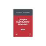 Çalışma Ceza Hukuku Mevzuatı - Saim Ocak