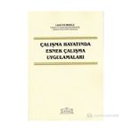 ÇALIŞMA HAYATINDA ESNEK ÇALIŞMA UYGULAMALARI - LÜTFİ İNCİROĞLU