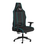 Calitte Harley RR Oyuncu Koltuğu Premium PU Deri Gaming Koltuk (Turkuaz)