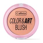 Callista Color Art Blush No:160 Rosy Glow Allık