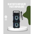 Calperia Bluetooth Bağlantılı LED Işıklı Taşınabilir Hoparlör – 1200 Mah Şarjlı, Fm Radyolu ( Lisinya )