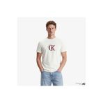 Calvin Klein 30S Graphic Erkek Beyaz T-Shirt