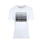 Calvin Klein 40IC836-540 Erkek T-shirt