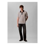 Calvin Klein Bej ve siyah çizgili Erkek Polo T-Shirt LV04LD205G67U_SS STRIPED OTTOMAN PO