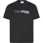 Calvin Klein Bisiklet Yaka Erkek T-Shirt Lv04Rd822Gub1_Ss 20S Eu Calvın Curs, Siyah, M