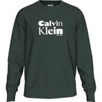 Calvin Klein Bisiklet Yaka Sweatshirt, L, 5003297310, Yeşil, erkek