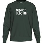 Calvin Klein Bisiklet Yaka Sweatshirt, M, 5003297310, Yeşil, erkek