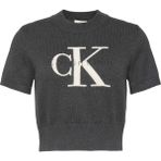 Calvin Klein Calvın Kleın Kadın Marka Logolu Günlük Kullanıma Uygun Gri Kazak LV044E306G P7I - XL