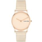 Calvin Klein CK25100036 Kadın Kol Saati