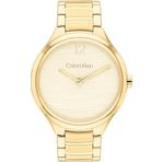 Calvin Klein CK25100048 Kadın Kol Saati