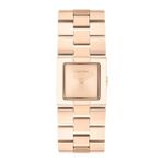 Calvin Klein CK25100090 Kadın Kol Saati