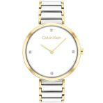 Calvin Klein CK25100134 Kadın Kol Saati