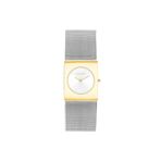Calvin Klein CK25100139 Kadın Kol Saati