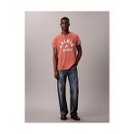 Calvin Klein Erkek 20S Calvin T-Shirt - Kahverengi - M