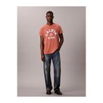 Calvin Klein Erkek 20s Calvin T-shirt