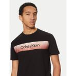 Calvin Klein Erkek Kısa Kollu Pamuklu Bisiklet Yaka Yazı Detaylı Siyah T-Shirt K10K114163