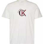 Calvin Klein Erkek Normal Kalıp %100 Pamuklu Logo Desenli Kısa Kollu Beyaz T-Shirt LV14RE829G-YBH - XL