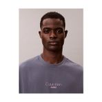 Calvin Klein Erkek Relaxed Fit Grafik Detaylı T-Shirt - Mavi - Gri - XL