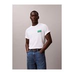 Calvin Klein Erkek SS 20's Easy Collegiate Badge T-shirt