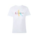 Calvin Klein Erkek T-shırt 40bm828-110