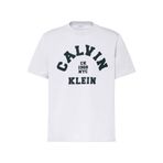 Calvin Klein Erkek T-Shirt, Marka Logolu, Bisiklet Yaka, Kısa Kol, Comfort Kalıp, Beyaz, XS