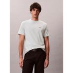 Calvin Klein Jeans Açık Yeşil Erkek T-Shirt LV04RC275G3Q0 Açık Yeşil T-Shirt