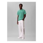 Calvin Klein Jeans Açık Yeşil Erkek T-Shirt LV04RD254GVFL Açık Yeşil T-Shirt